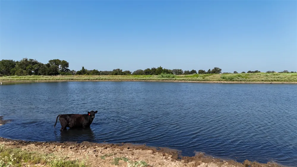 2039 County Road 326 Giddings, TX 78942
