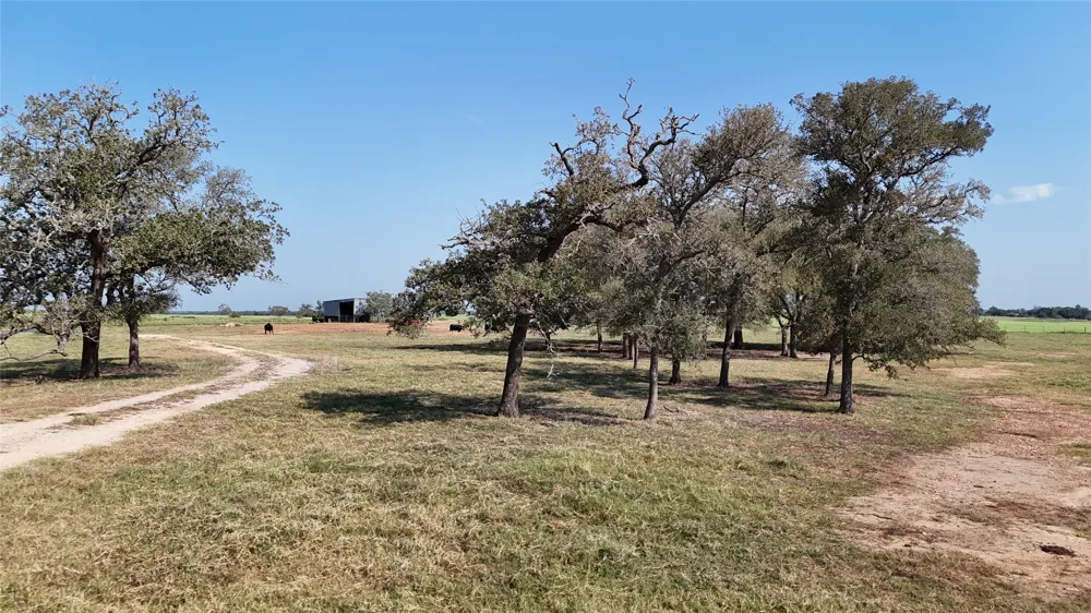 2039 County Road 326 Giddings, TX 78942