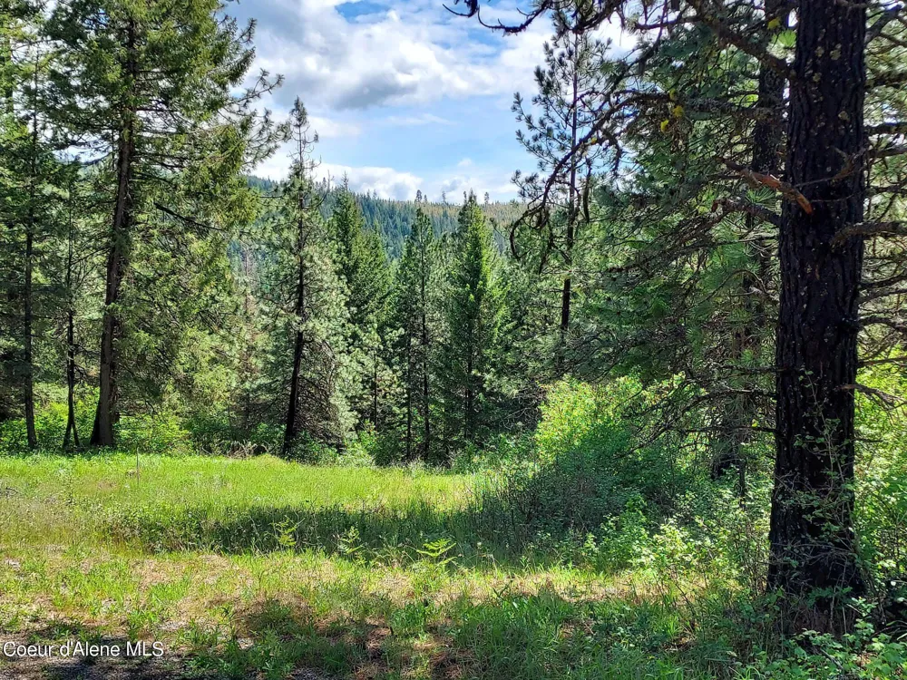 NKA E CANTON LANE Harrison, ID 83833