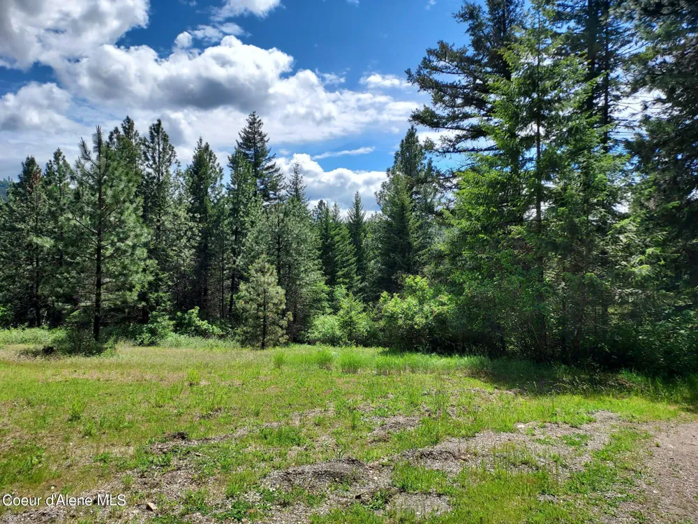 NKA E CANTON LANE Harrison, ID 83833