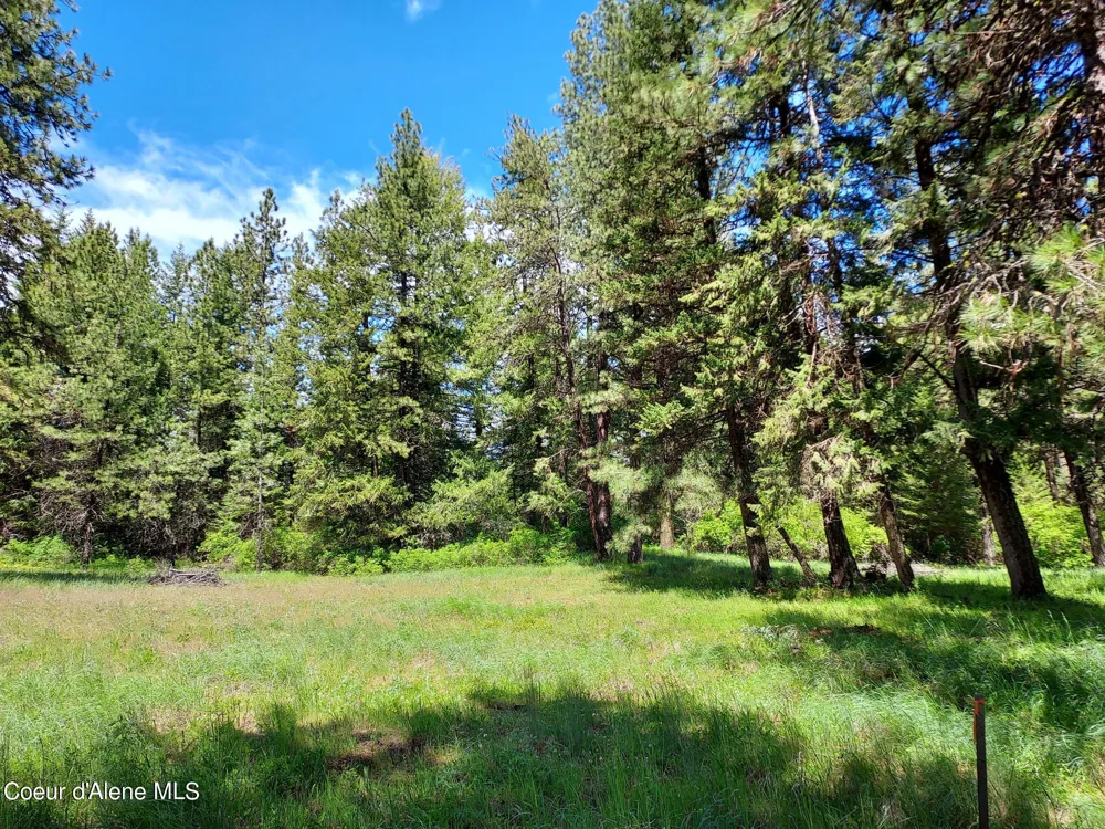 NKA E CANTON LANE Harrison, ID 83833