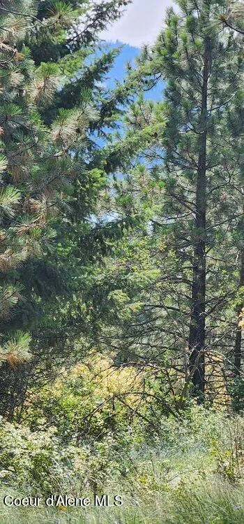 NKA E CANTON LANE Harrison, ID 83833