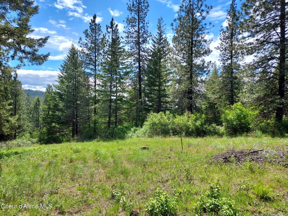 NKA E CANTON LANE Harrison, ID 83833