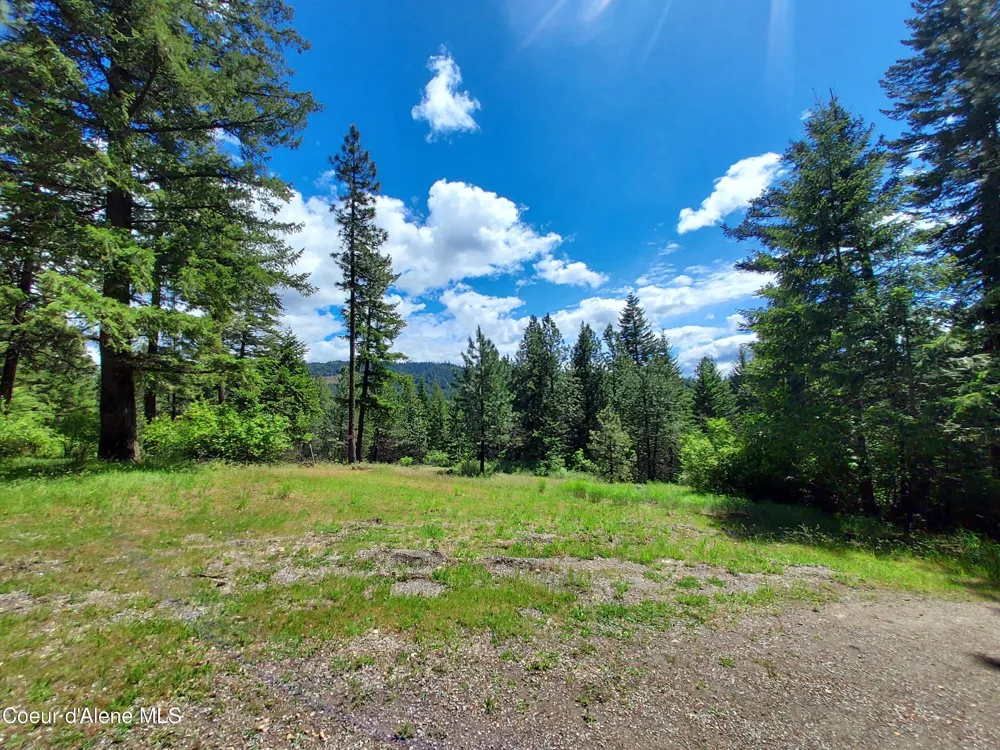 NKA E CANTON LANE Harrison, ID 83833