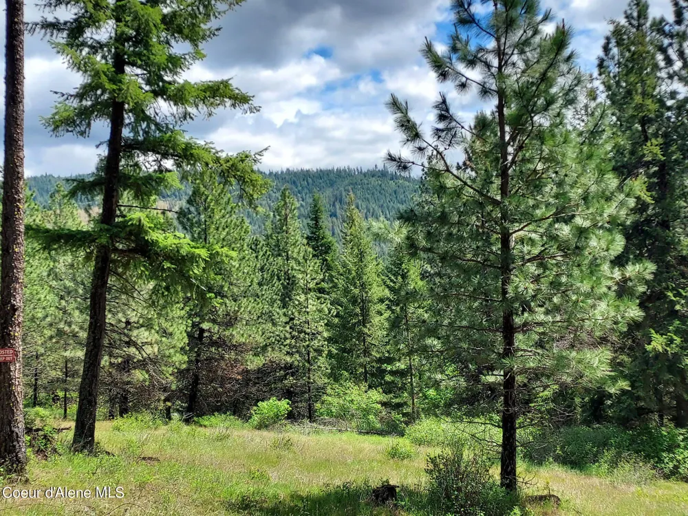 NKA E CANTON LANE Harrison, ID 83833