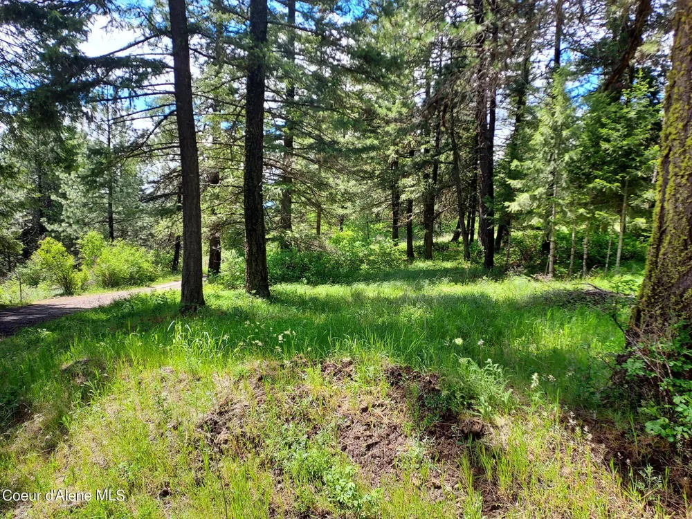 NKA E CANTON LANE Harrison, ID 83833