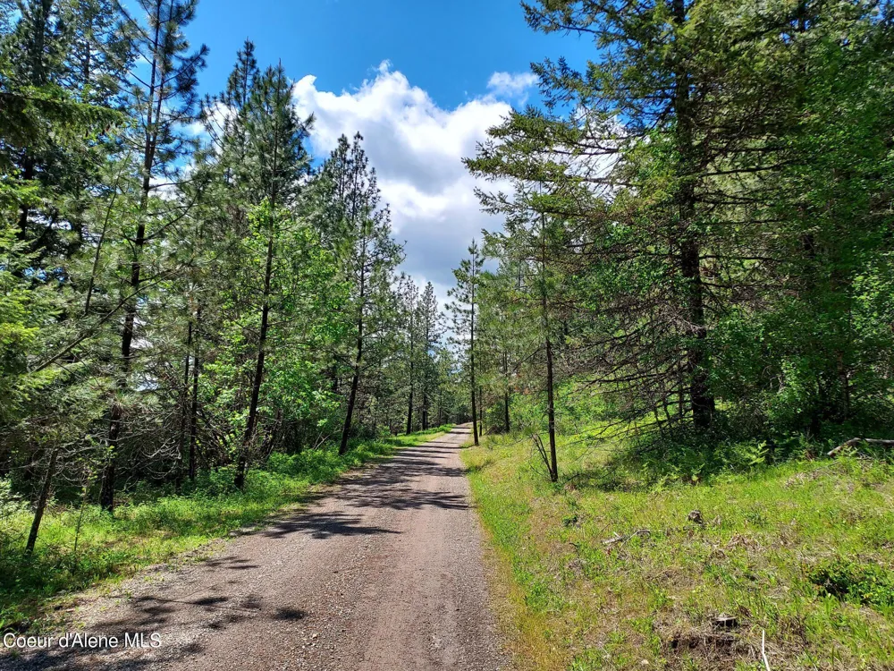 NKA E CANTON LANE Harrison, ID 83833