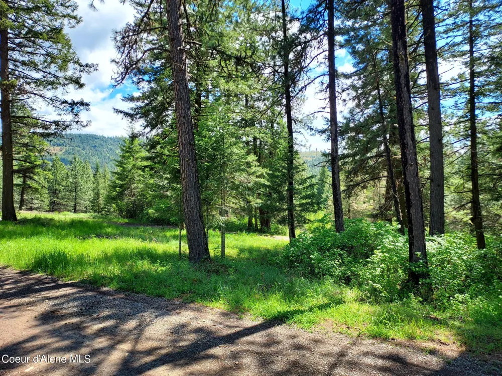 NKA E CANTON LANE Harrison, ID 83833