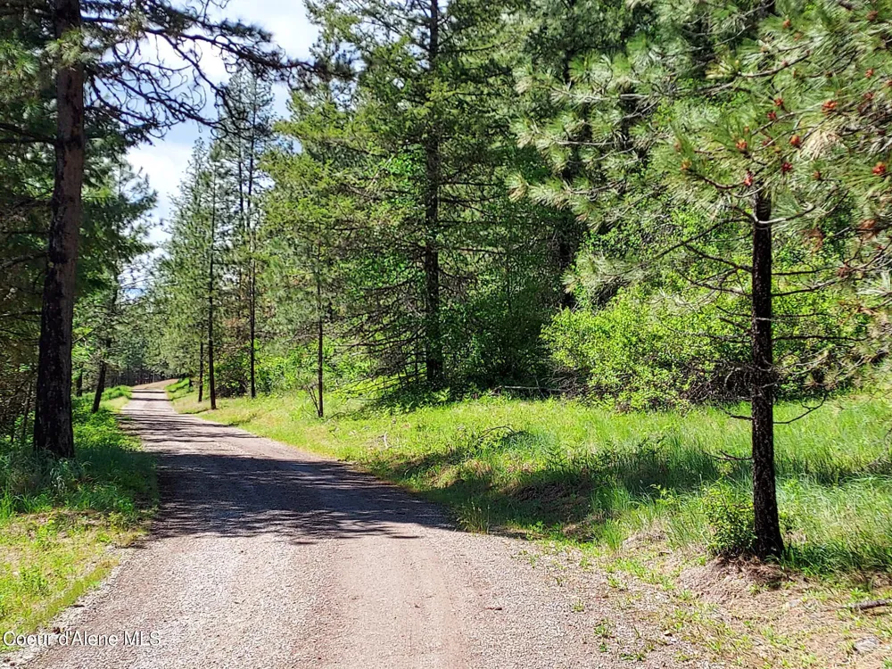 NKA E CANTON LANE Harrison, ID 83833