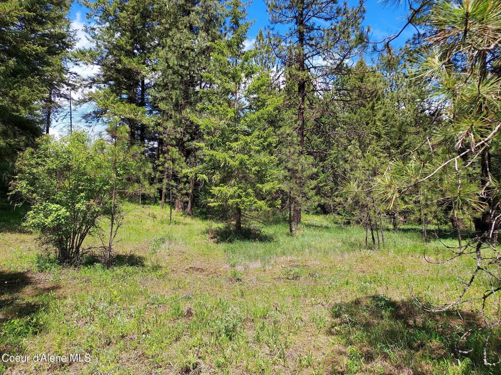 NKA E CANTON LANE Harrison, ID 83833