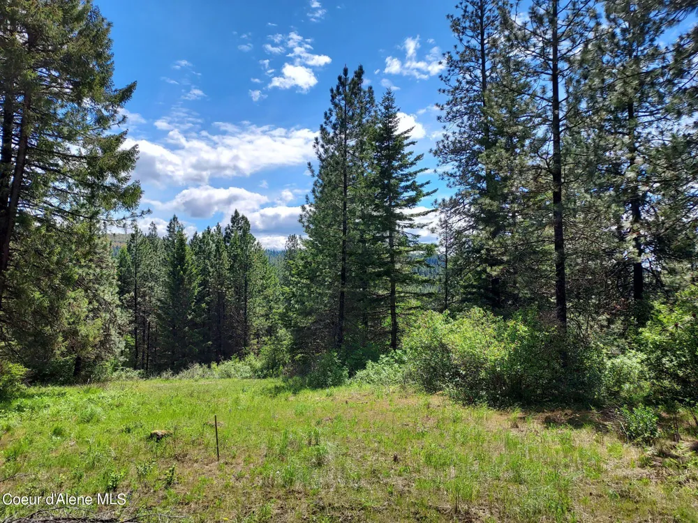 NKA E CANTON LANE Harrison, ID 83833