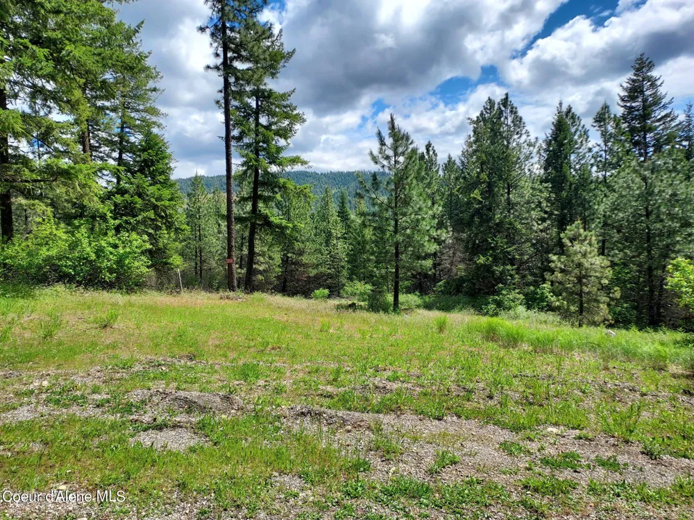 NKA E CANTON LANE Harrison, ID 83833