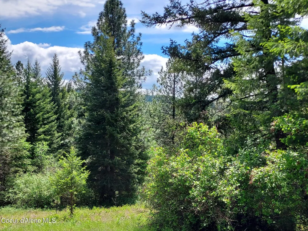 NKA E CANTON LANE Harrison, ID 83833