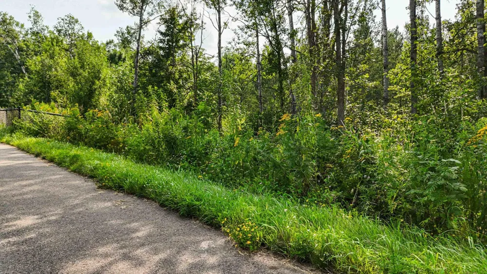 TBD7 Winter Creek Court Nisswa, MN 56468