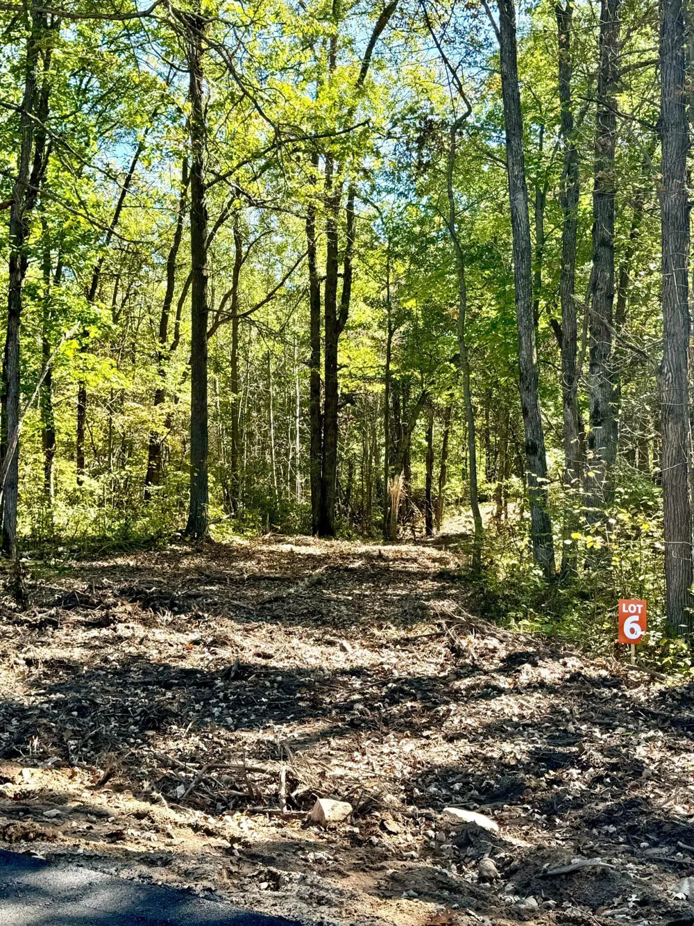 TBD6 Winter Creek Court Nisswa, MN 56468