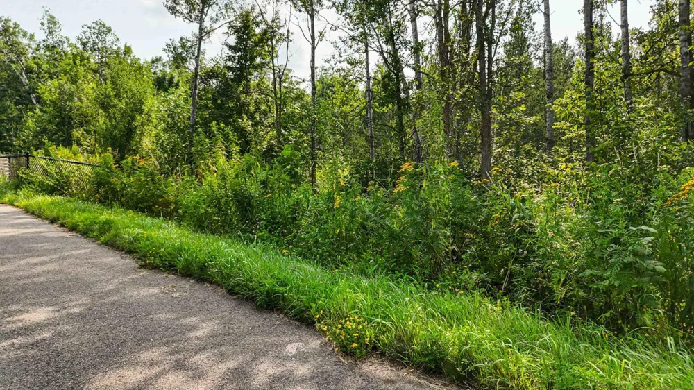 TBD6 Winter Creek Court Nisswa, MN 56468