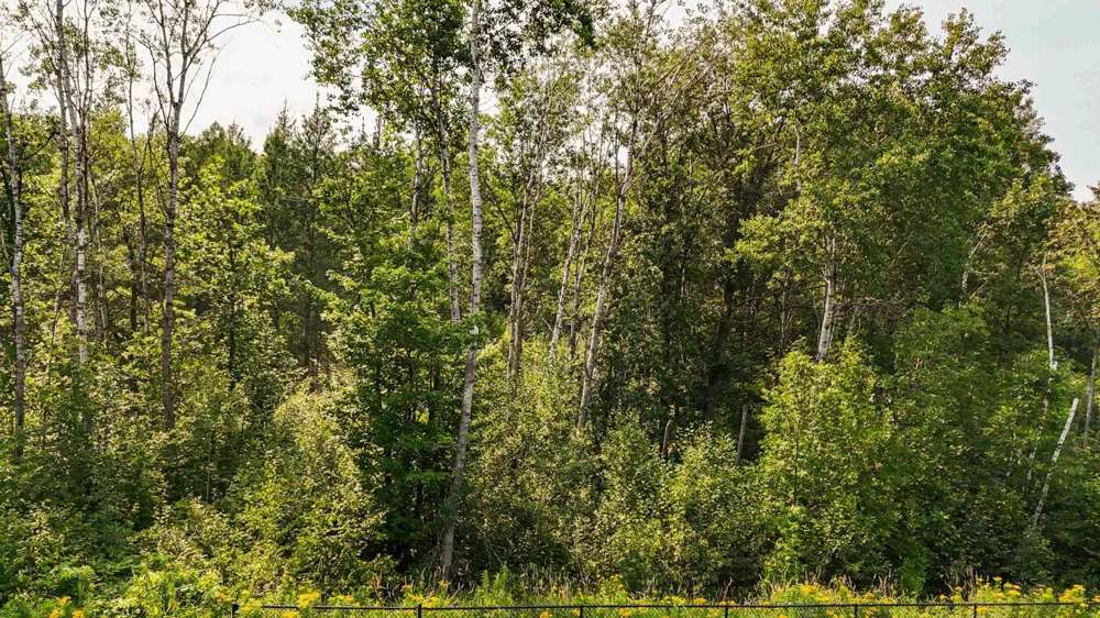 TBD1 Winter Creek Court Nisswa, MN 56468