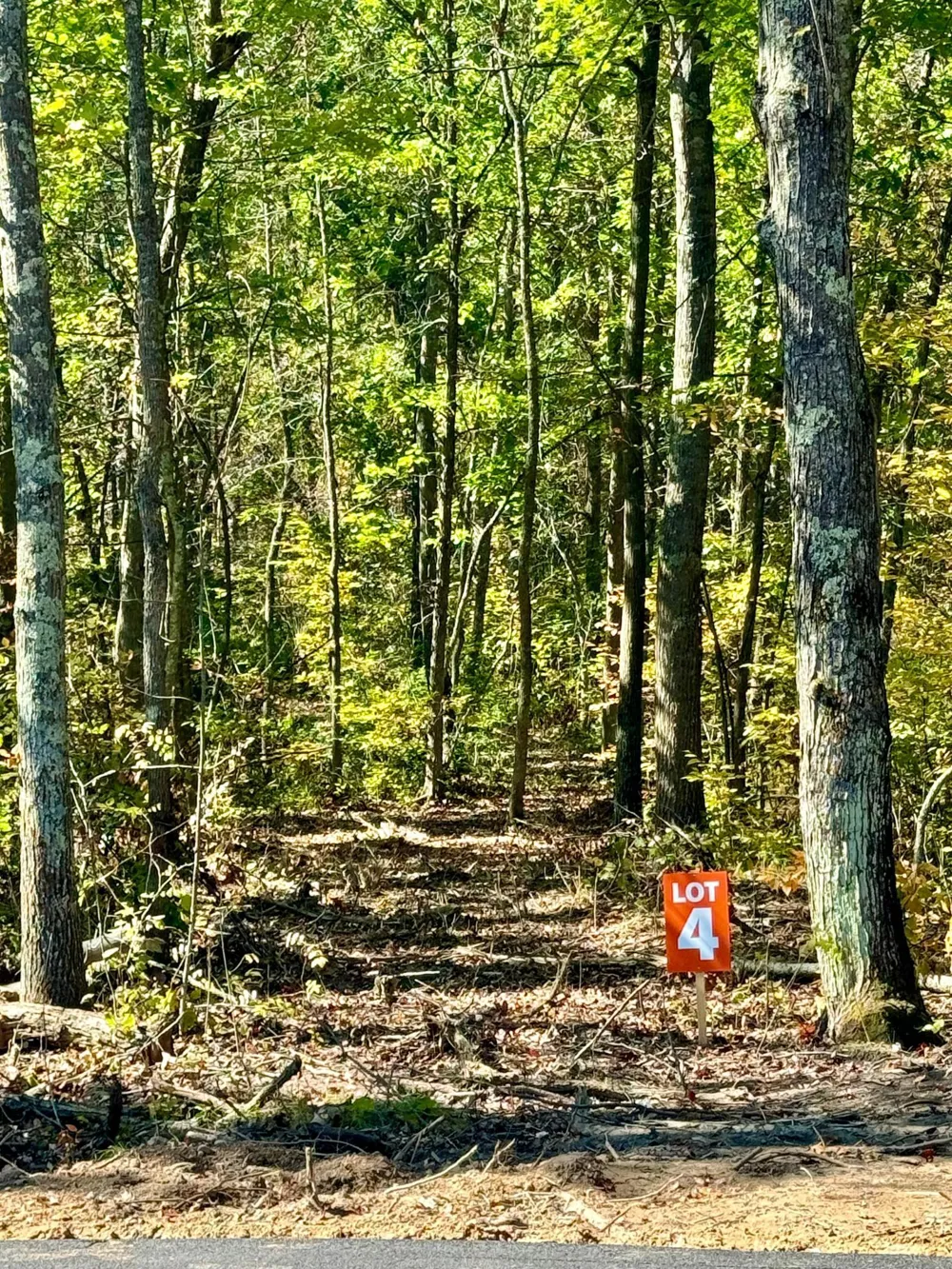 TBD4 Winter Creek Court Nisswa, MN 56468