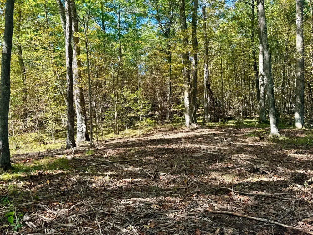 TBD4 Winter Creek Court Nisswa, MN 56468