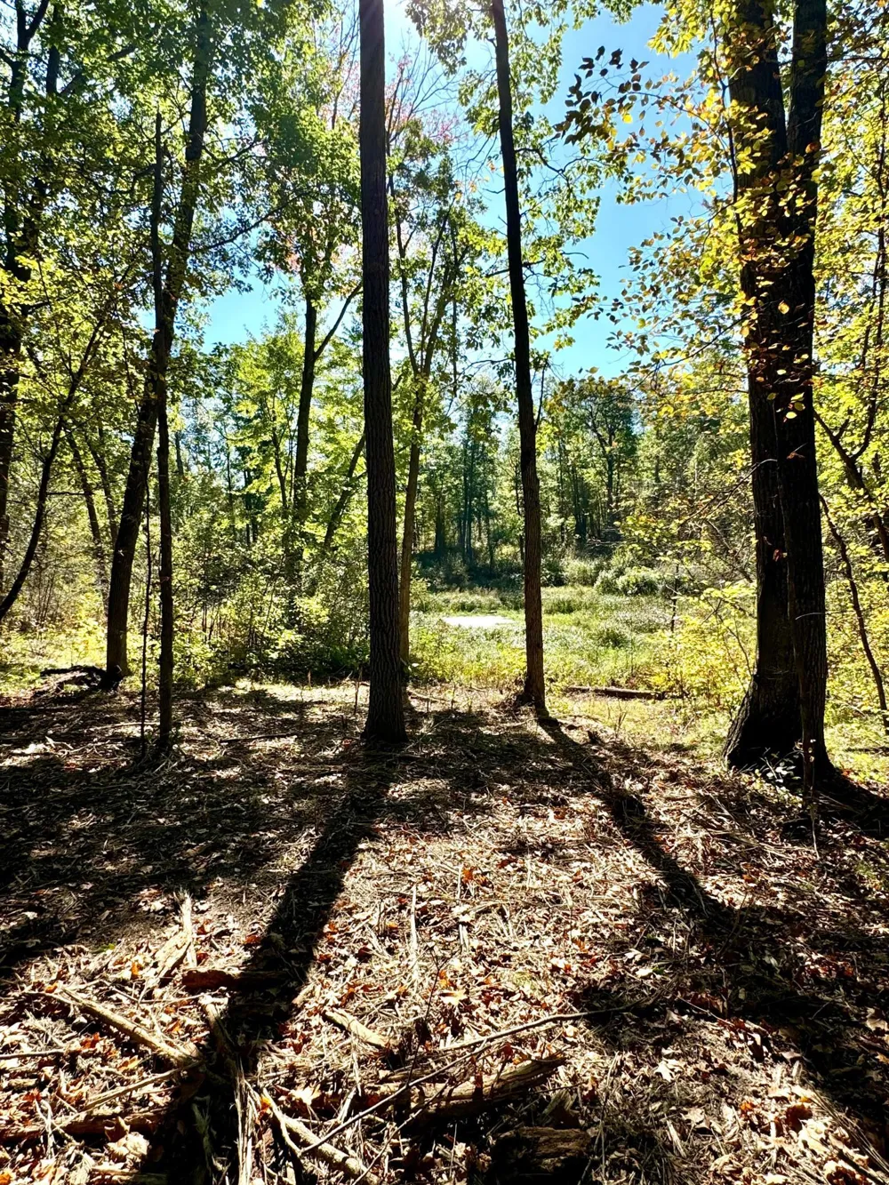 TBD4 Winter Creek Court Nisswa, MN 56468