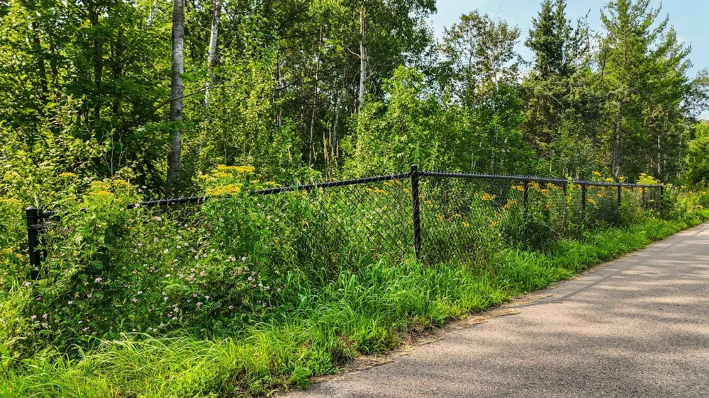 TBD4 Winter Creek Court Nisswa, MN 56468