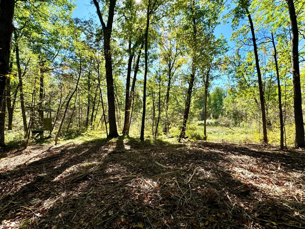 TBD4 Winter Creek Court Nisswa, MN 56468