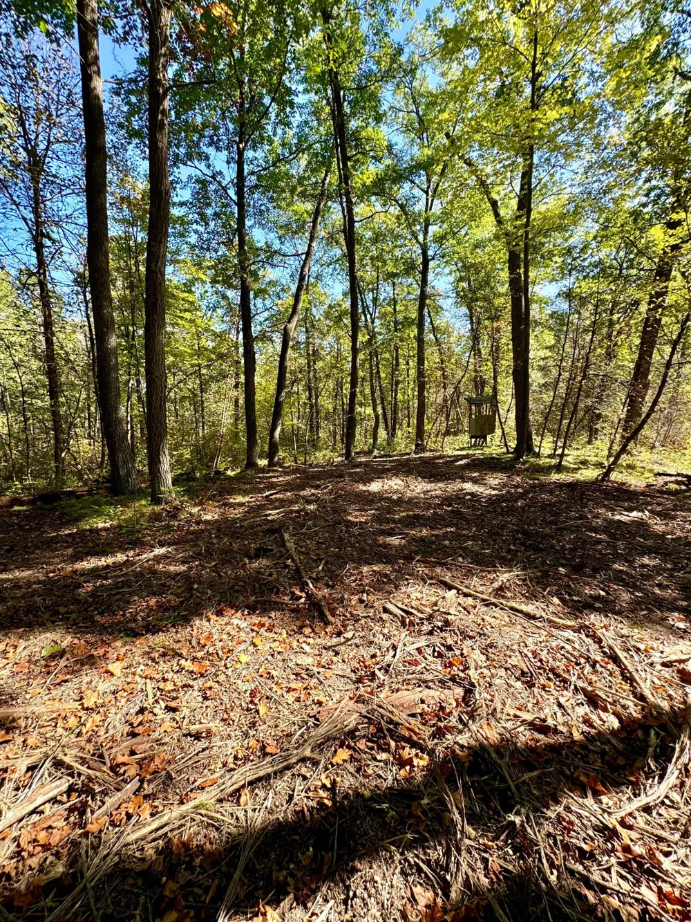 TBD4 Winter Creek Court Nisswa, MN 56468