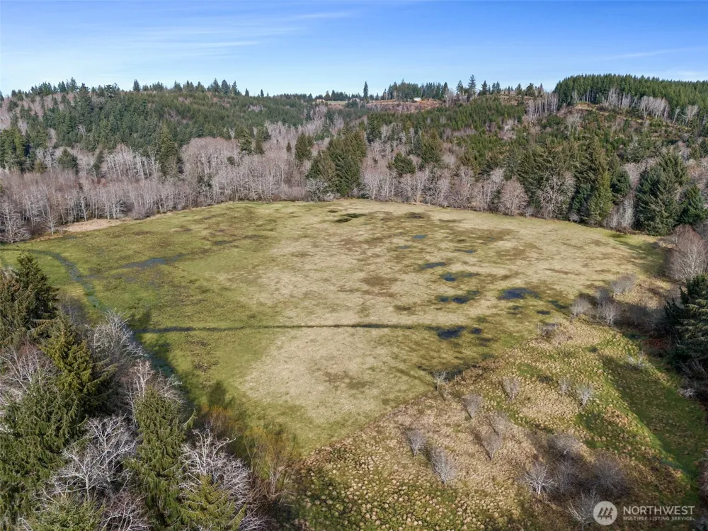 0 XXX Rue Creek Road Raymond, WA 98577