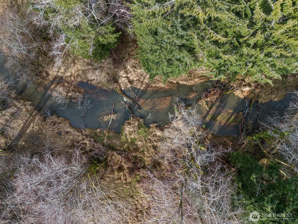 0 XXX Rue Creek Road Raymond, WA 98577