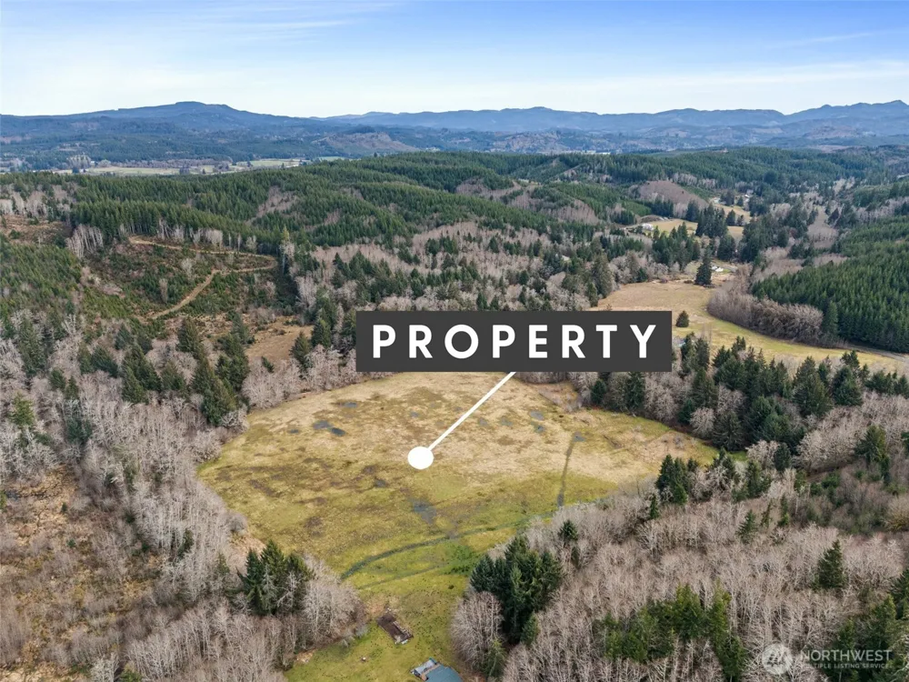 0 XXX Rue Creek Road Raymond, WA 98577