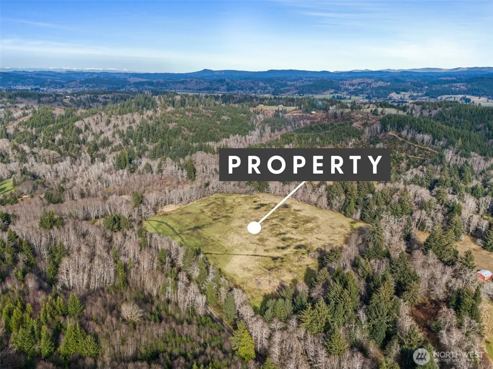 0 XXX Rue Creek Road Raymond, WA 98577