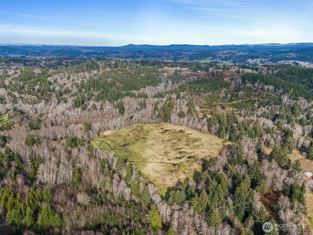 0 XXX Rue Creek Road Raymond, WA 98577
