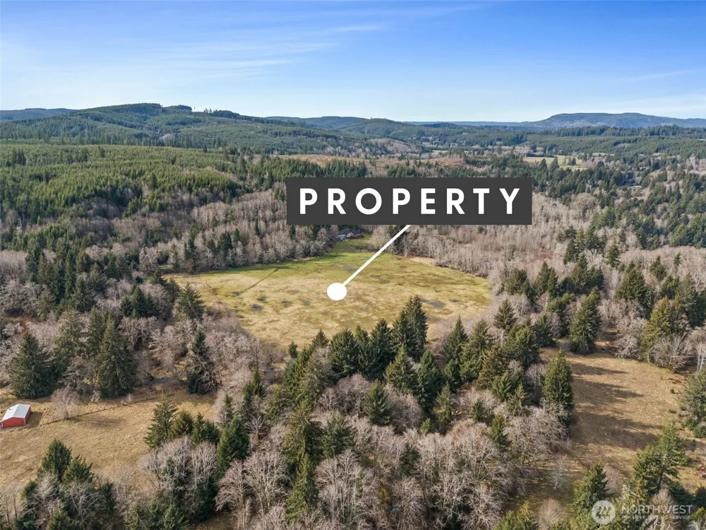 0 XXX Rue Creek Road Raymond, WA 98577