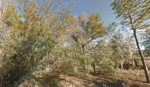 NE 154TH AVENUE
