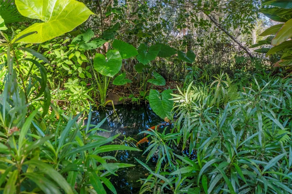 Address Not Shown Okahumpka, FL 34762