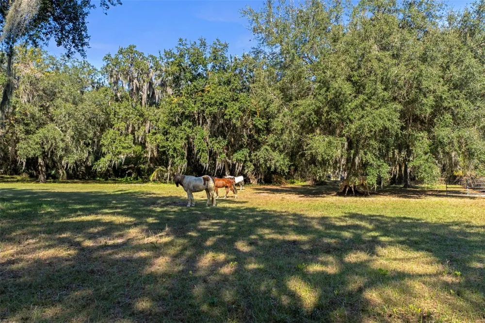 Address Not Shown Okahumpka, FL 34762