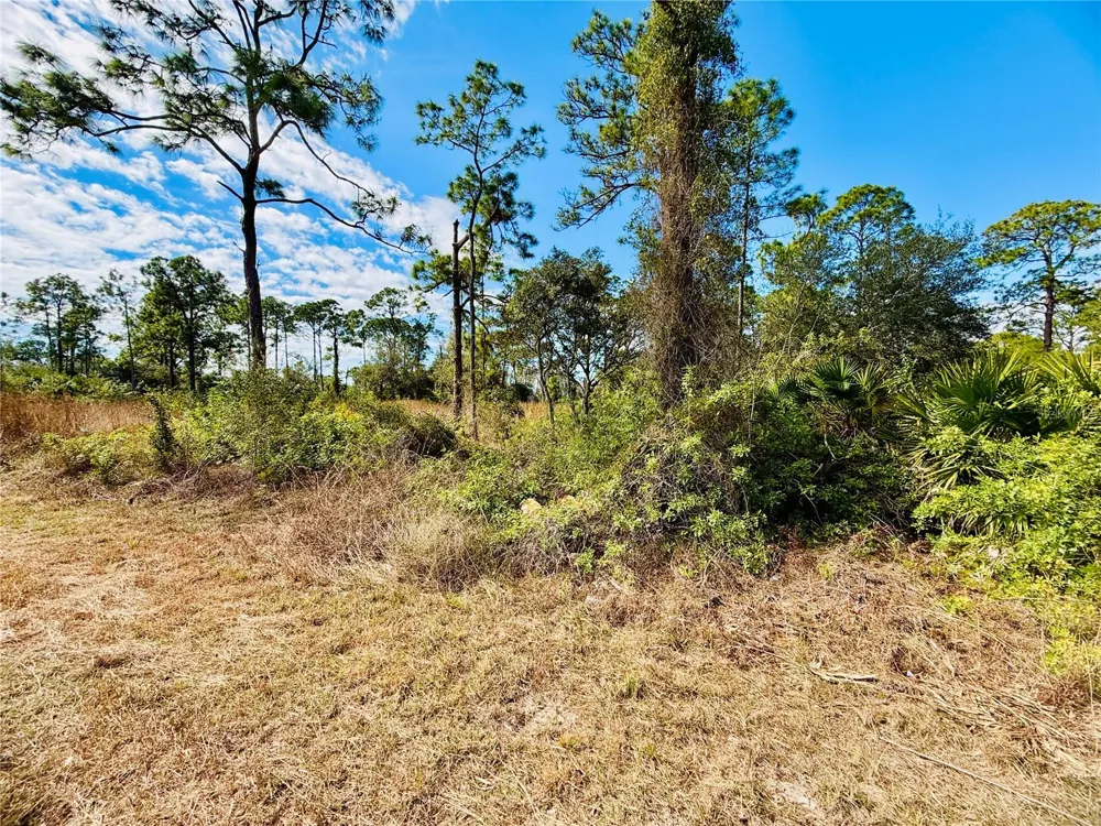 2007 TRUMAN AVENUE Alva, FL 33920