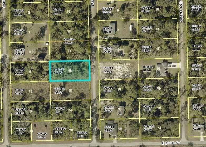 2007 TRUMAN AVENUE Alva, FL 33920
