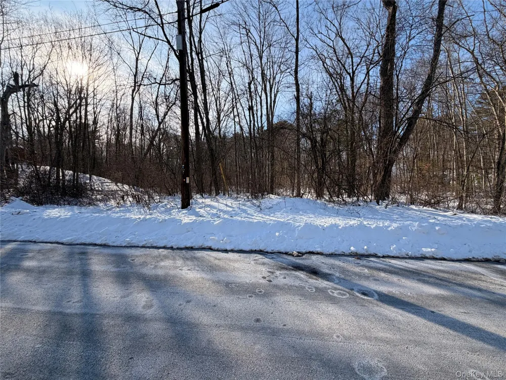 11 White Birch Road Hyde Park, NY 12538