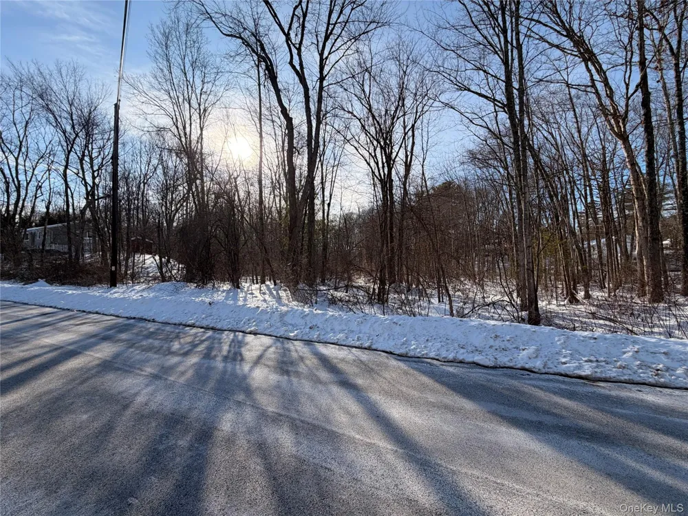 11 White Birch Road Hyde Park, NY 12538