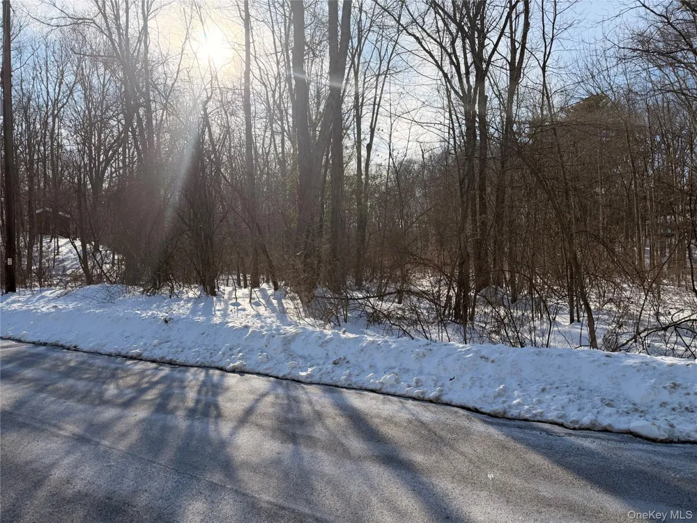 11 White Birch Road Hyde Park, NY 12538