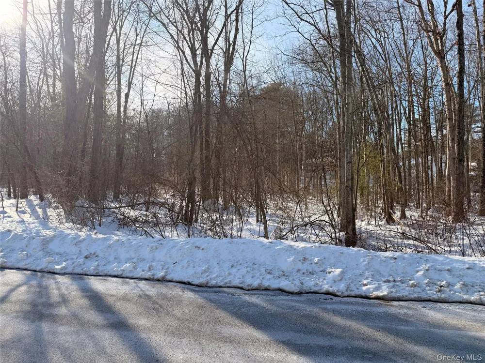 11 White Birch Road Hyde Park, NY 12538