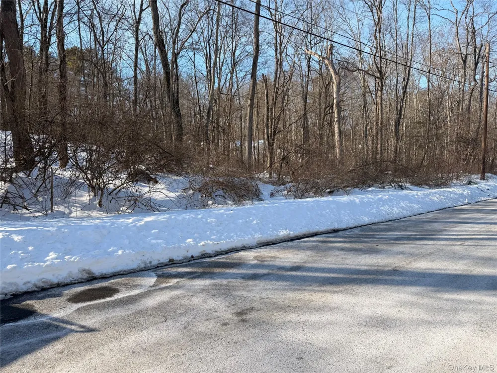 11 White Birch Road Hyde Park, NY 12538