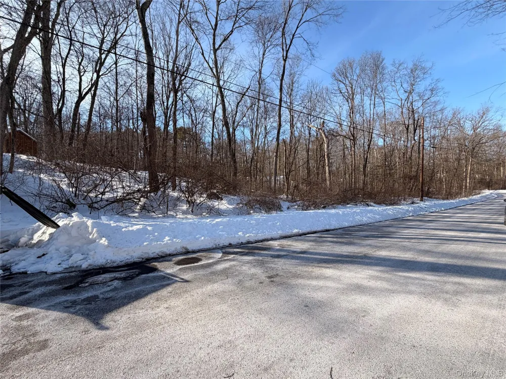11 White Birch Road Hyde Park, NY 12538