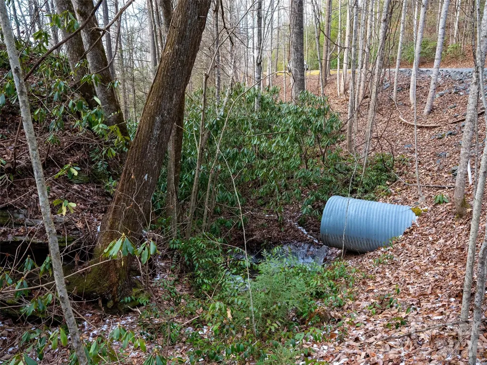 LT 617A Lost Mine Trail Brevard, NC 28712