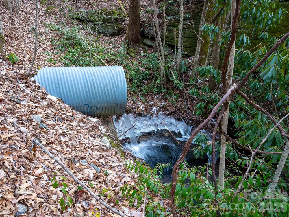 LT 617A Lost Mine Trail Brevard, NC 28712