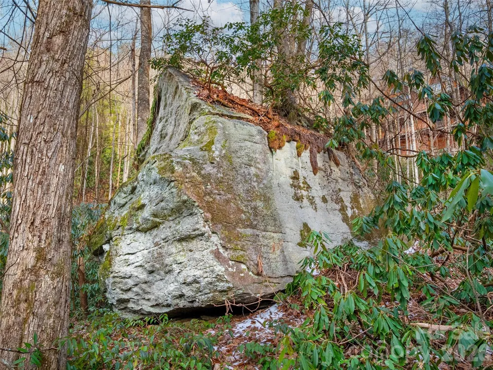LT 617A Lost Mine Trail Brevard, NC 28712