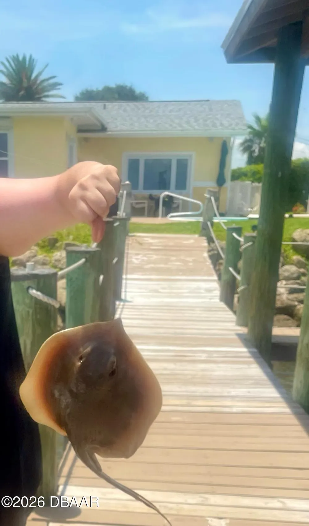 130 Reef Road South Daytona, FL 32119