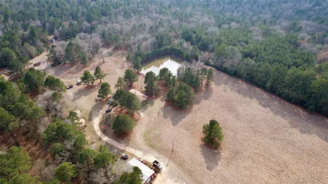 6161 County Road 3385