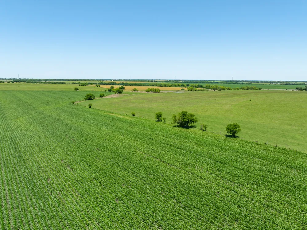 Cr 451 Bruceville Eddy, TX 76524